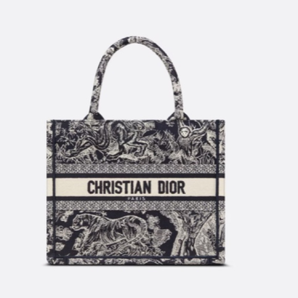 Small Dior book tote